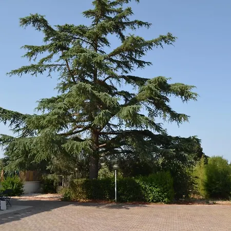 Trullo Levante *